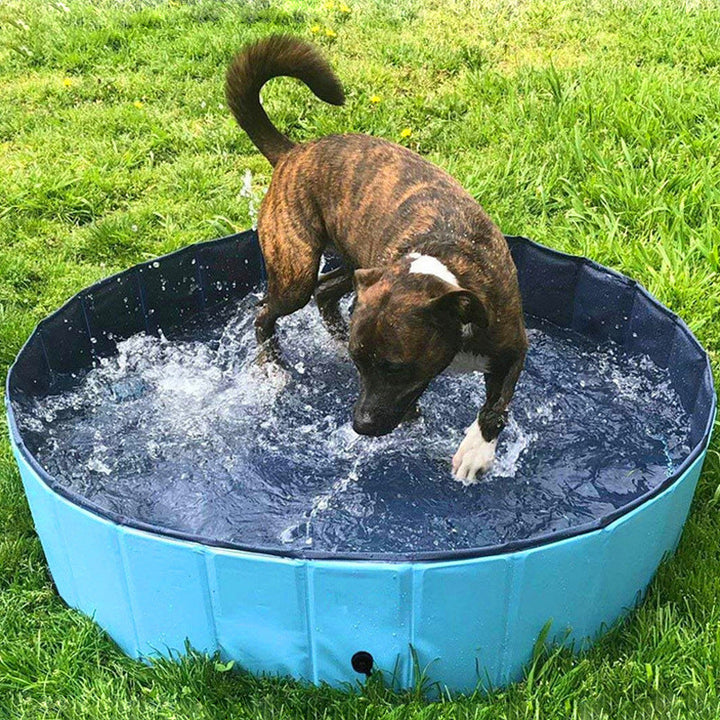 Make a Splash This Summer with Our Foldable Pet Bathing Pool!