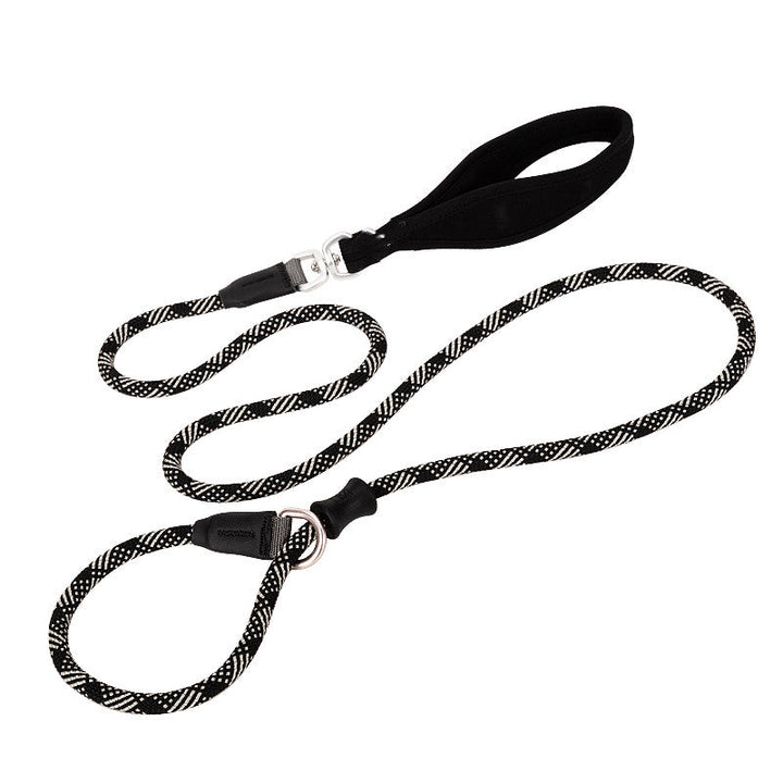 Discover the Ultimate Simple Fashion Pet Leash