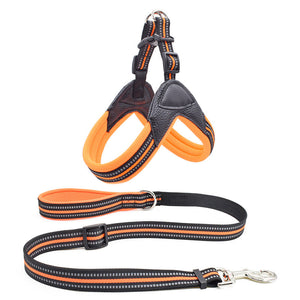 Unleash Comfort and Style with Our Pet Chest Harness And Leash Traction Set