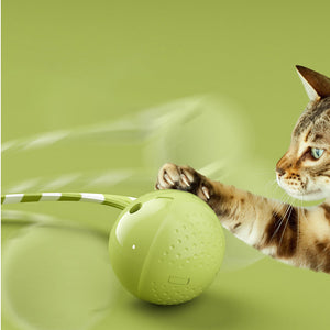 Enhance Your Pet's Playtime with the Interactive Electric Motion Activated Ball Toy