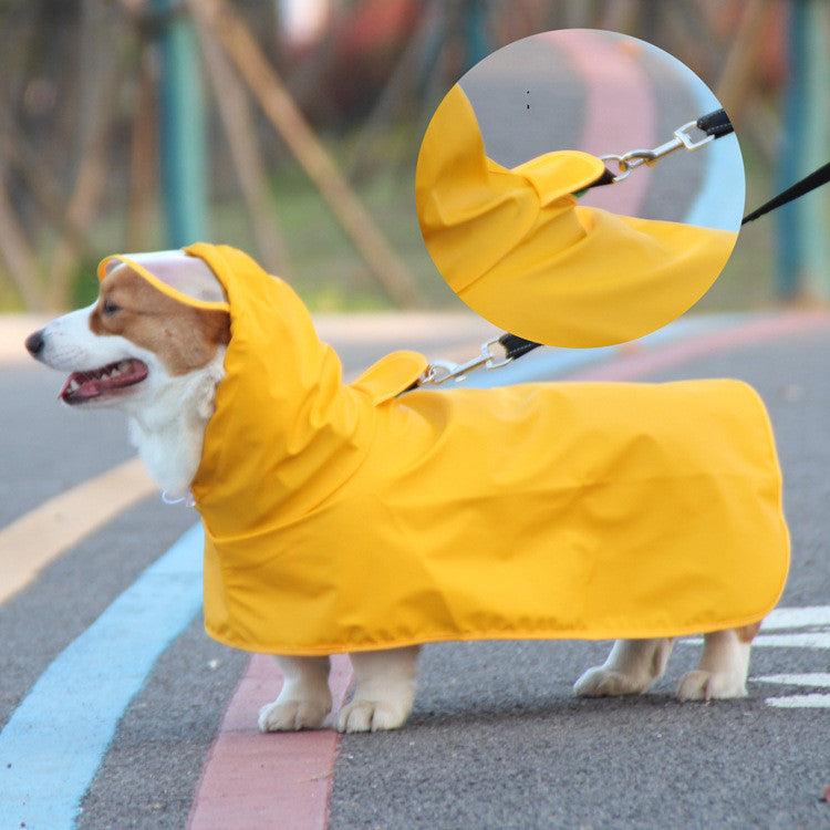 Transparent Brim Pet Raincoat With Bellyband