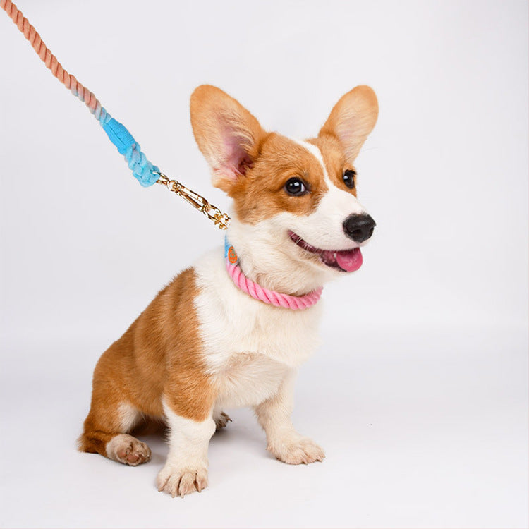 Woven Cotton Pet Leash and Collar Set