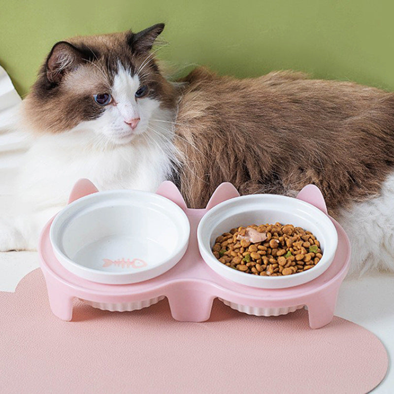Ceramic Double Pet Bowl With Tall Angled Elevated Design