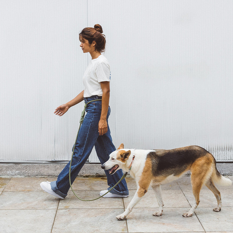 Minimalist Fashion Pet Leash With Sleek Slanted Design