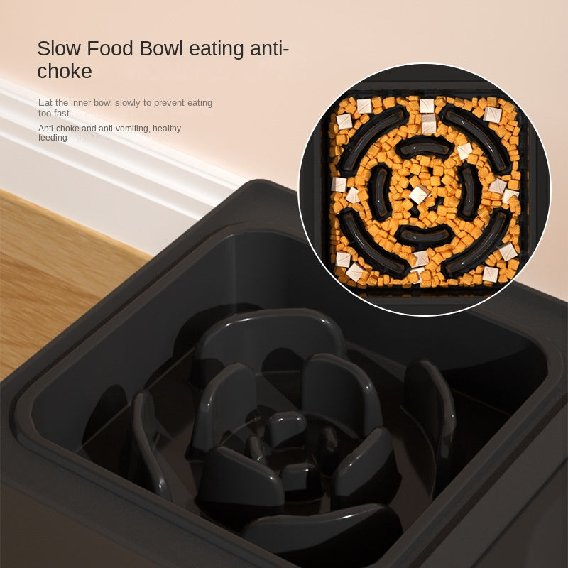Adjustable Elevated Stainless Steel Double Pet Feeding Bowl Set