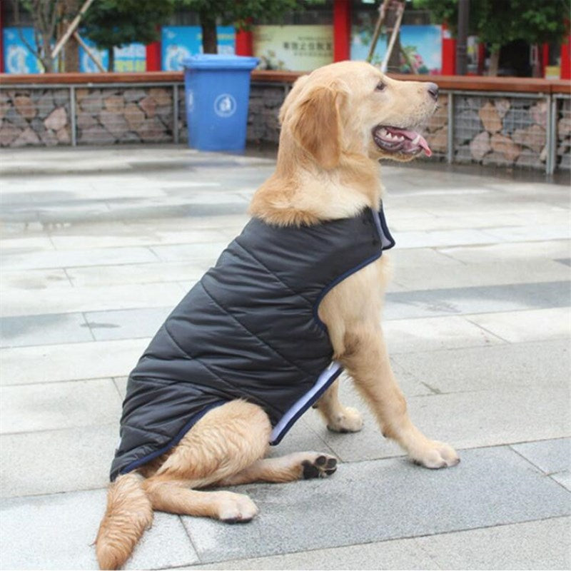 Winter Cotton Pet Coat Jacket