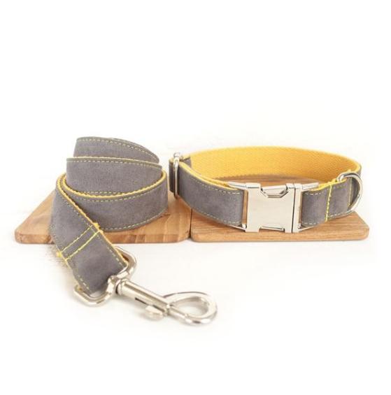 Medium To Large Pet Collar And Leash Set