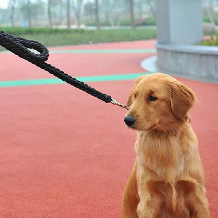 Eight Strand Braided Pet Leash For Strong And Durable Walking