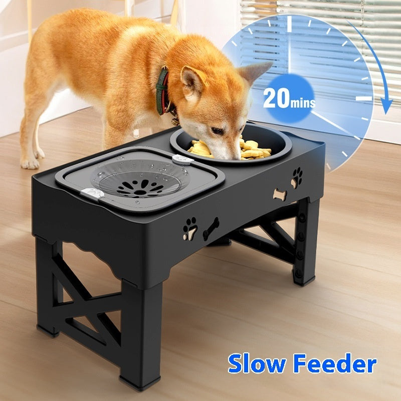 Elevated Double Stainless Steel Pet Feeder Bowl Set