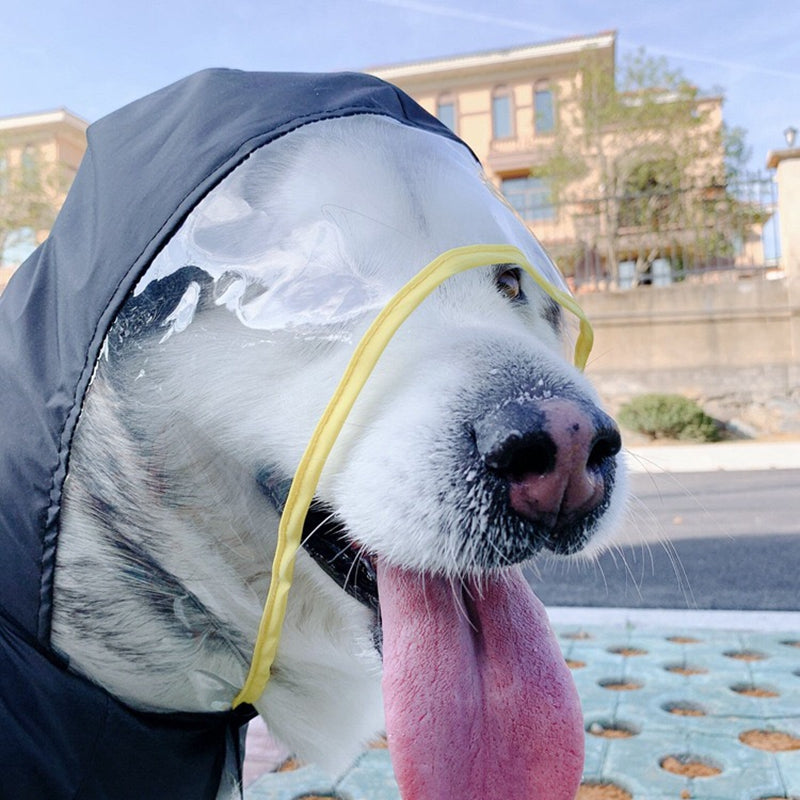 Lightweight Waterproof Pet Raincoat With Reflective Safety Hood
