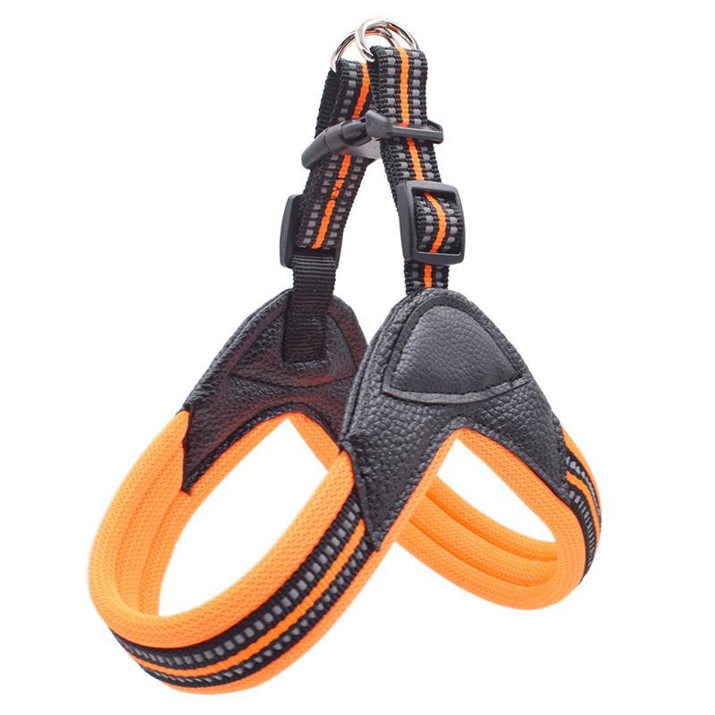 Pet Chest Harness And Leash Traction Set