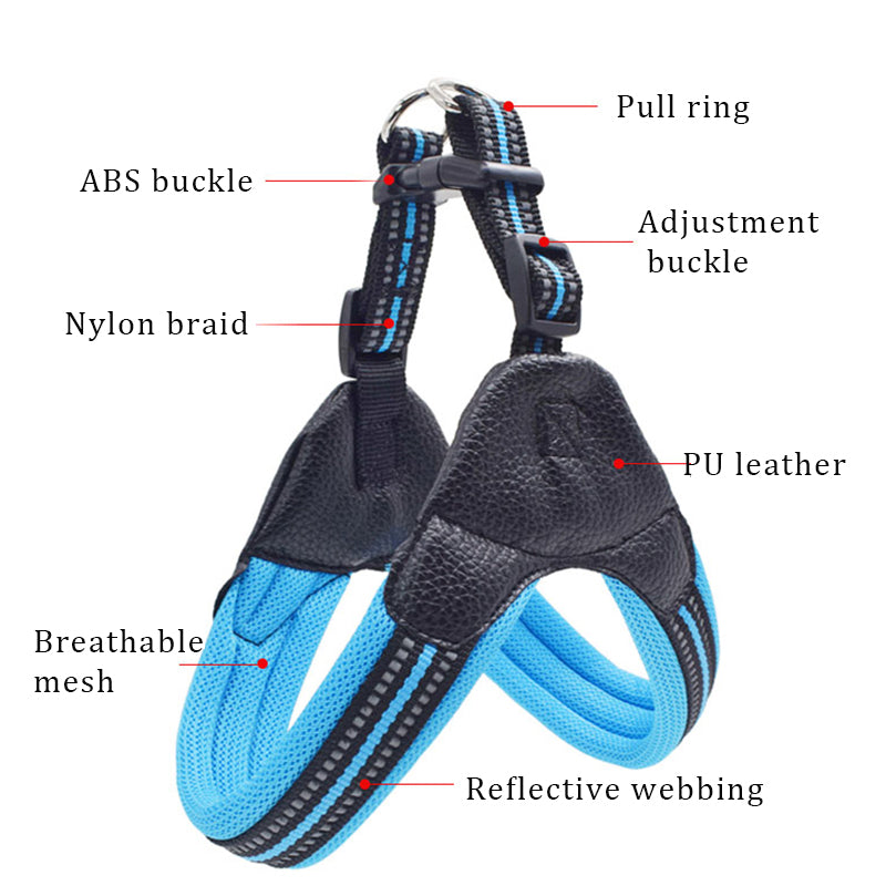 Pet Chest Harness And Leash Traction Set