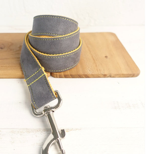 Medium To Large Pet Collar And Leash Set