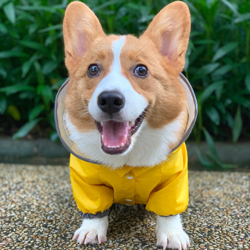 Four-Legged Waterproof Pet Raincoat Clothing