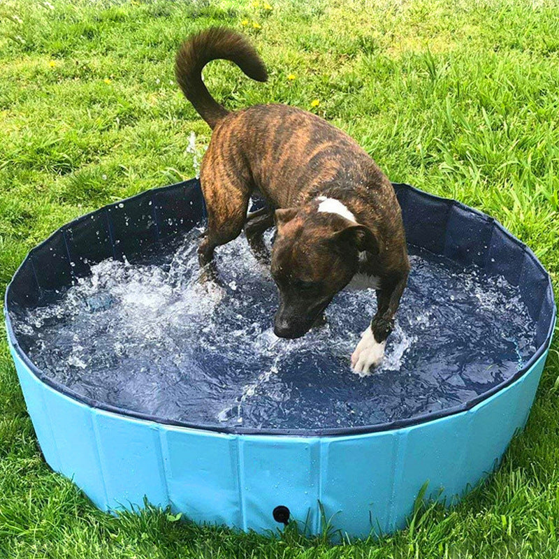 Foldable Pet Bathing Pool Collapsible Indoor Outdoor Tub