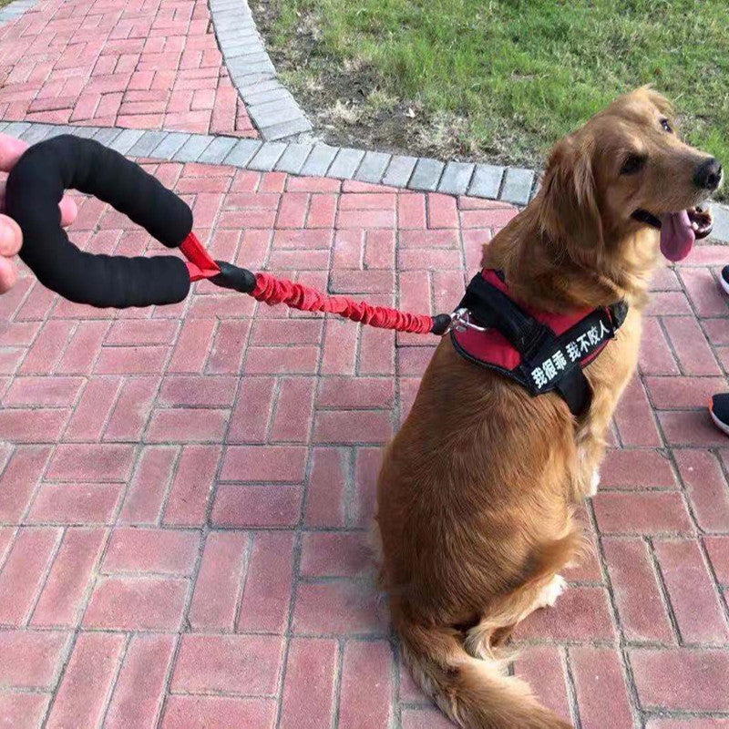 Elastic Retractable Pet Leash With Heavy Duty Design