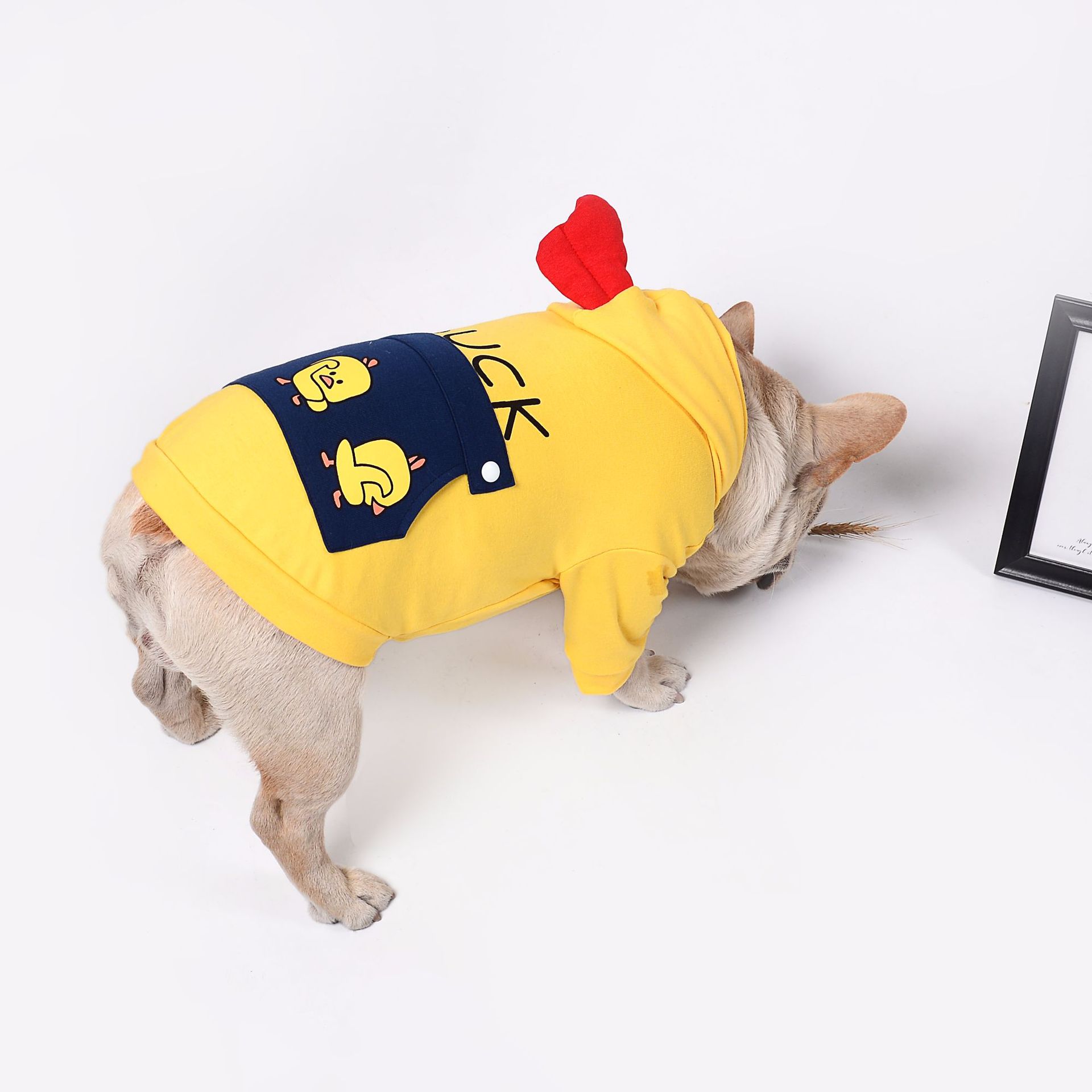 Pet Clothing Apparel For Everyday Comfort