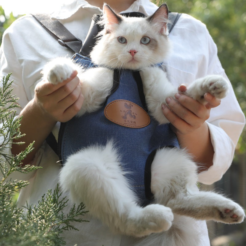 Portable Pet Backpack For Comfortable Spring Outdoor Outings