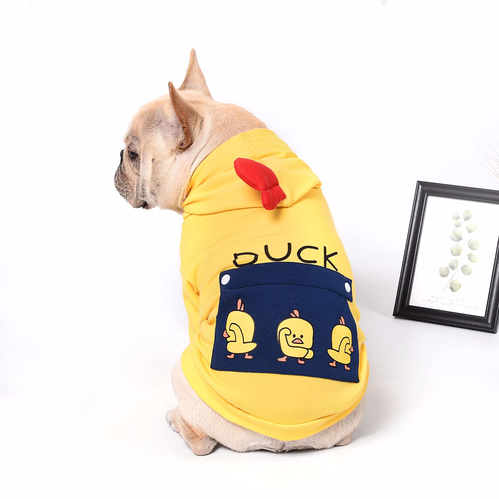Pet Clothing Apparel For Everyday Comfort