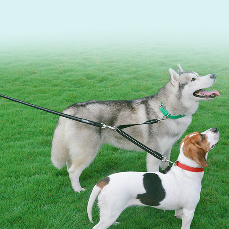 Reflective Dual Head Nylon Pet Leash For Two Pets