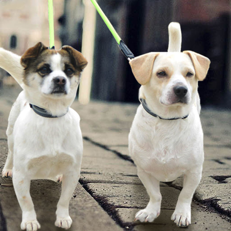 Reflective Dual Head Nylon Pet Leash For Two Pets
