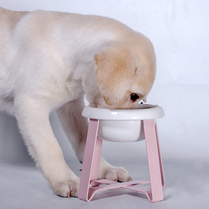 Creative Anti Slip Pet Feeding Bowl With Iron Stand