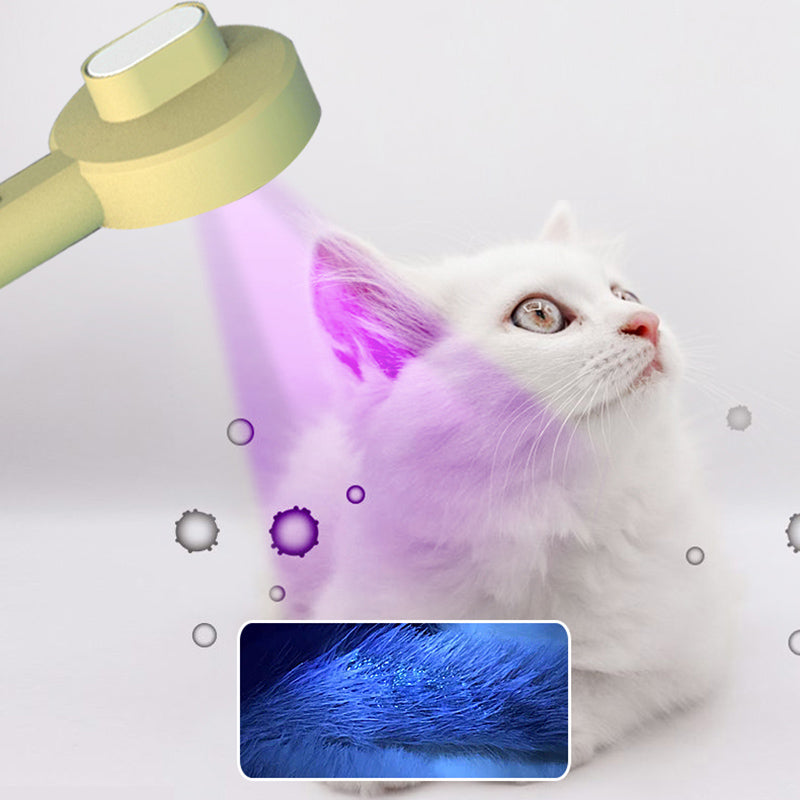 2-in-1 Pet Comb and Hair Detector Grooming Tool