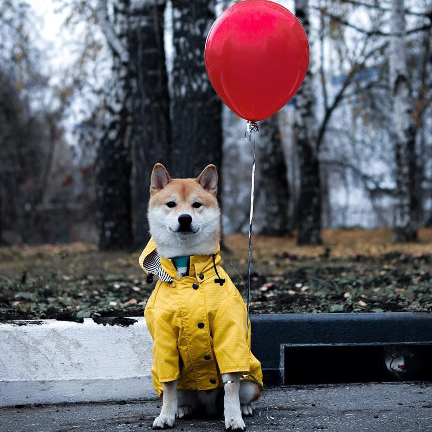 Tide Brand Retro Windproof Waterproof Pet Jacket