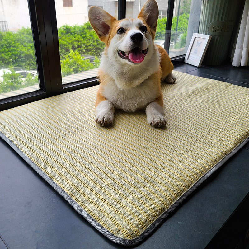 Summer Cooling Pet Sleeping Mat Anti Bite Non Stick Hair Mattress