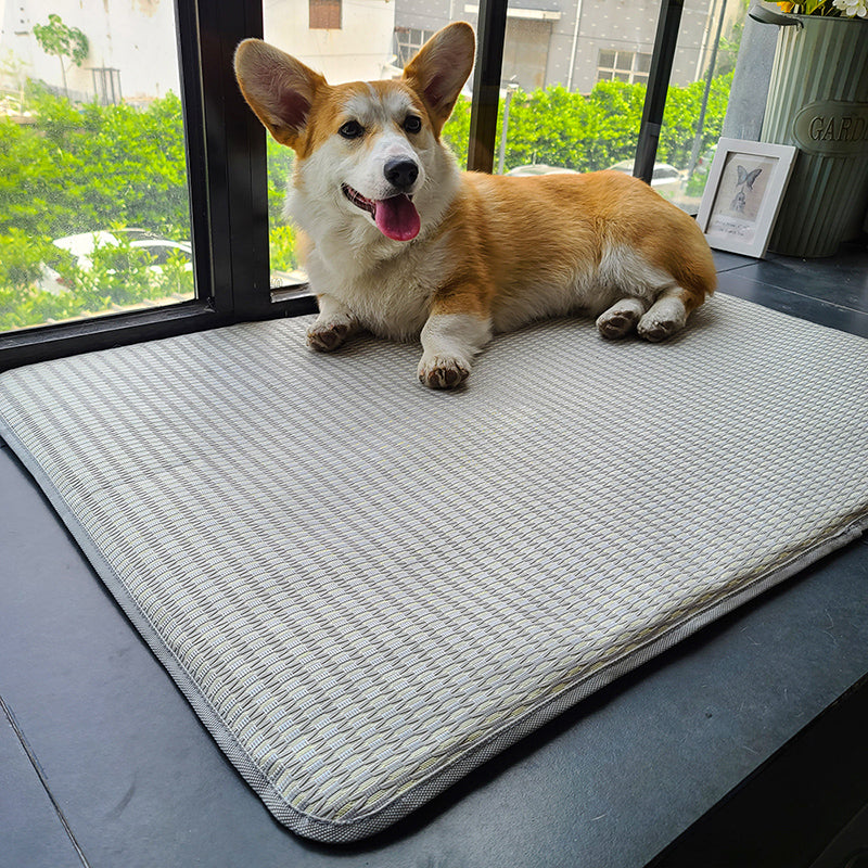 Summer Cooling Pet Sleeping Mat Anti Bite Non Stick Hair Mattress