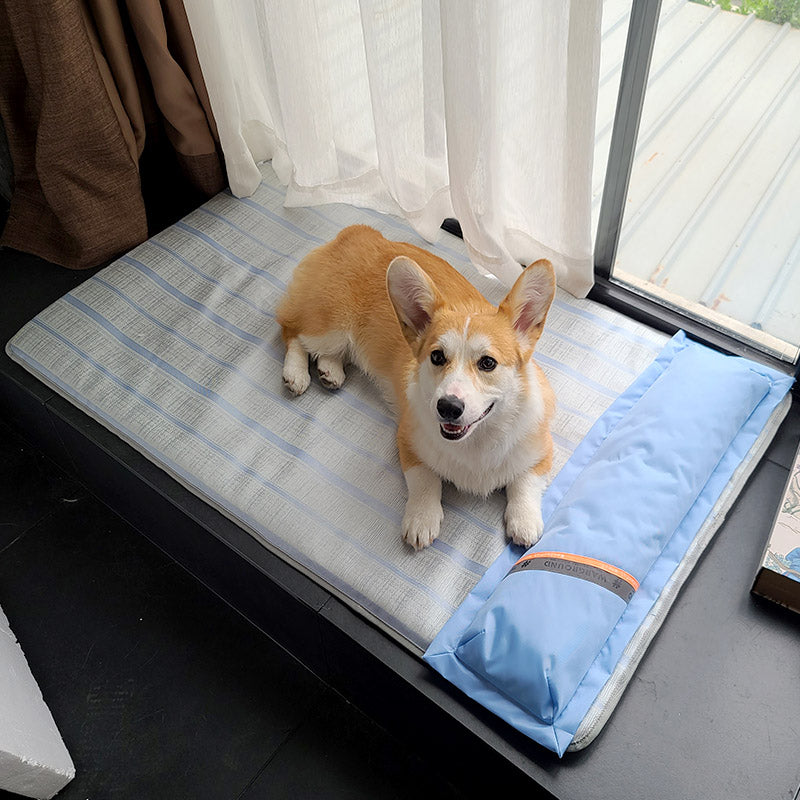 Summer Cooling Pet Sleeping Mat Anti Bite Non Stick Hair Mattress