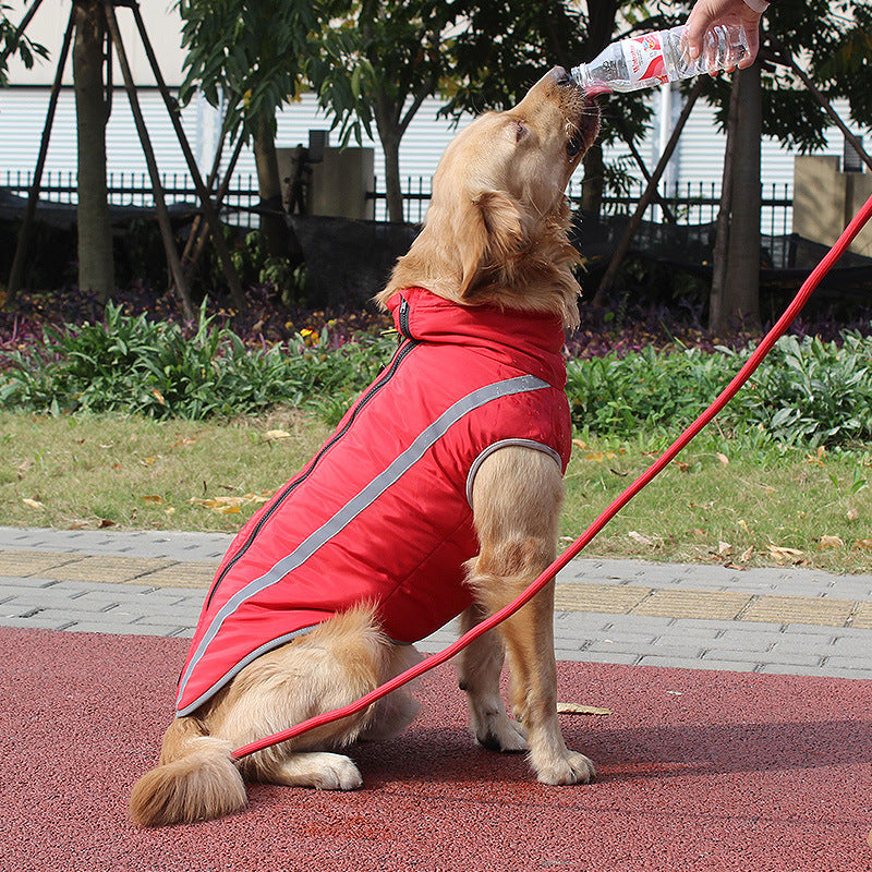 Winter Reflective Padded Warm Pet Jacket Clothing
