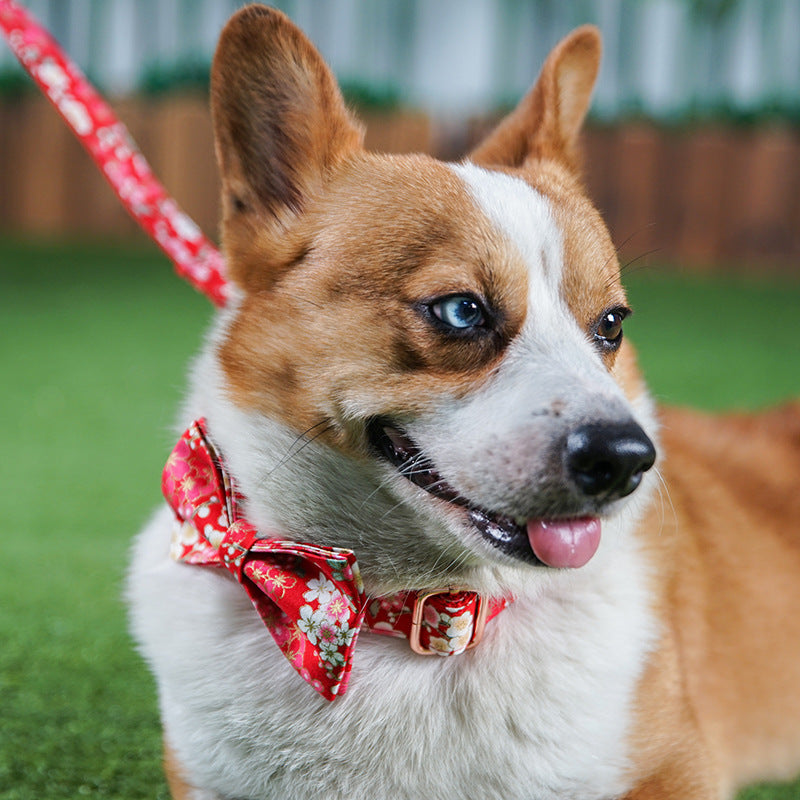 Floral Red Pet Harness And Leash Set For Female Pets