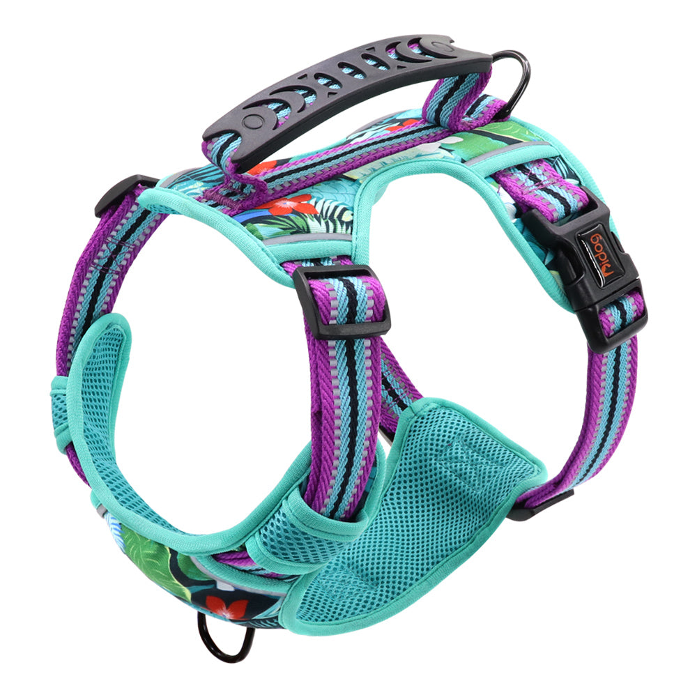 Adjustable Pet Leash and Chest Harness