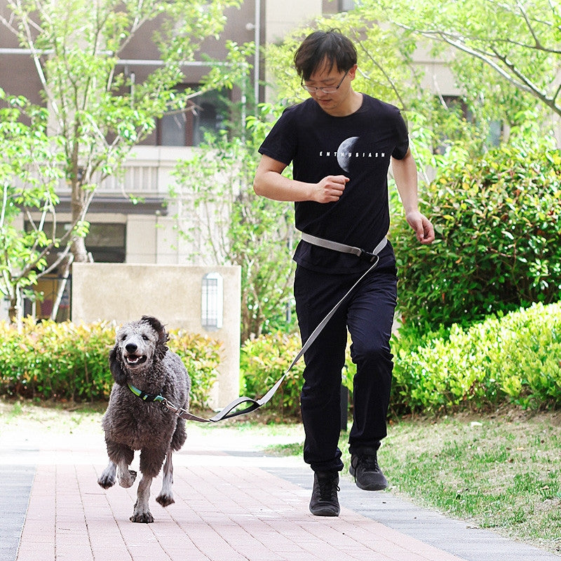 1.8M Multifunctional Pet Leash For Running And Training