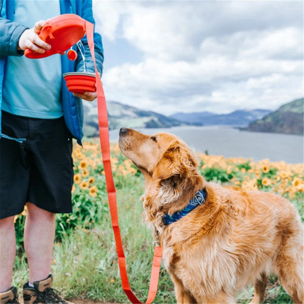 Pet Leash With Built In Waste Bag Dispenser