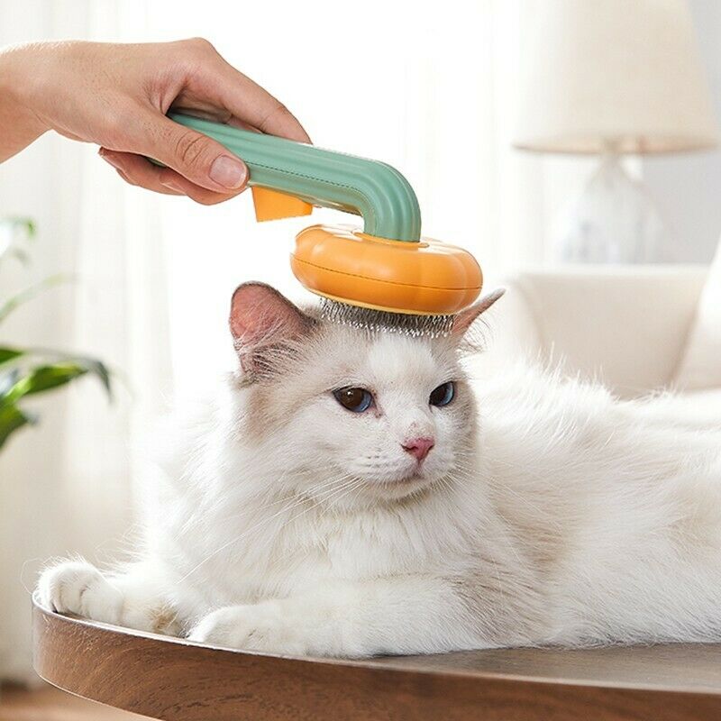 Pumpkin Pet Self-Cleaning Slicker Grooming Brush