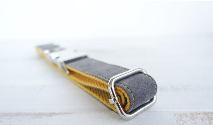 Medium To Large Pet Collar And Leash Set