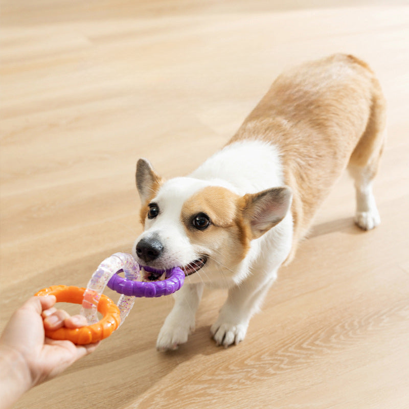 Floating Water Pet Flying Disk Training Ring Durable Chew Resistant