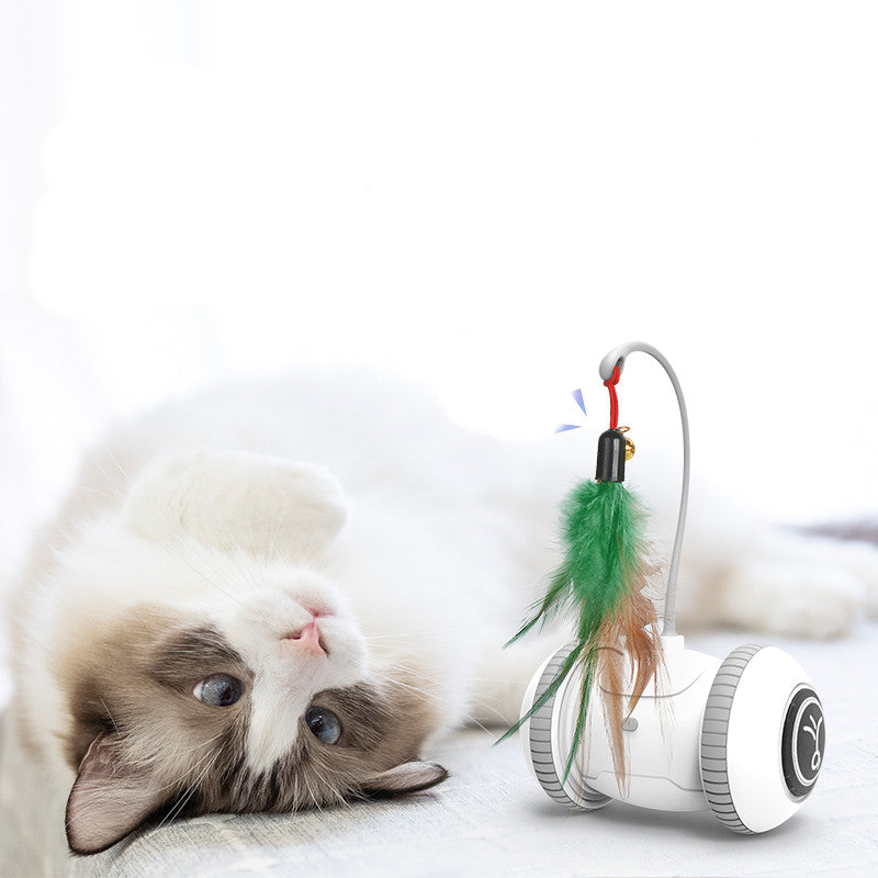 Interactive Pet Toy With Interchangeable Heads Feather Teaser Toy