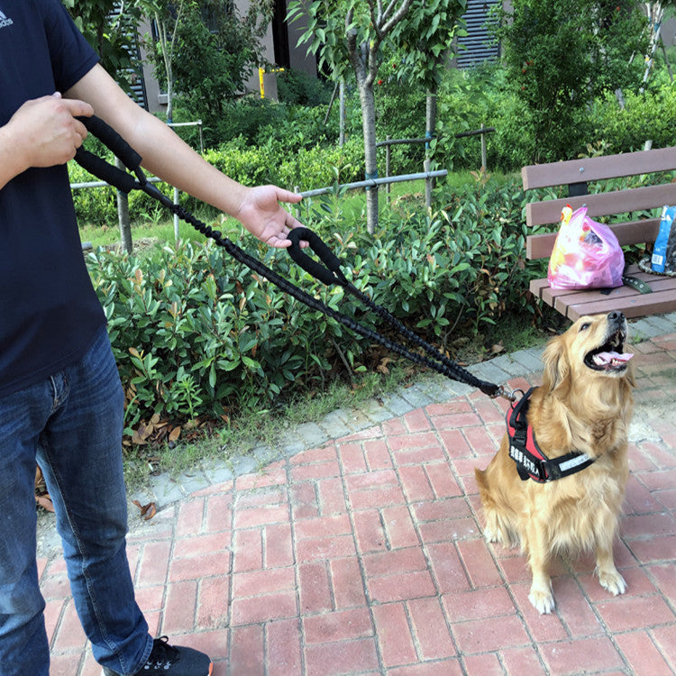 Elastic Retractable Pet Leash With Heavy Duty Design