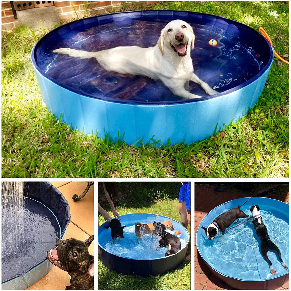 Foldable Pet Bathing Pool Collapsible Indoor Outdoor Tub