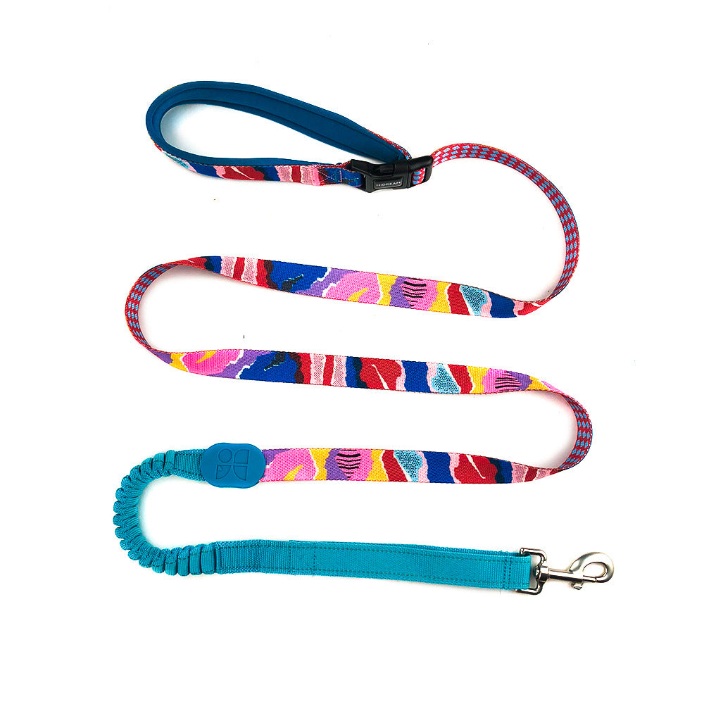 Multifunctional Shock Absorbing Pet Leash For Comfortable Walking