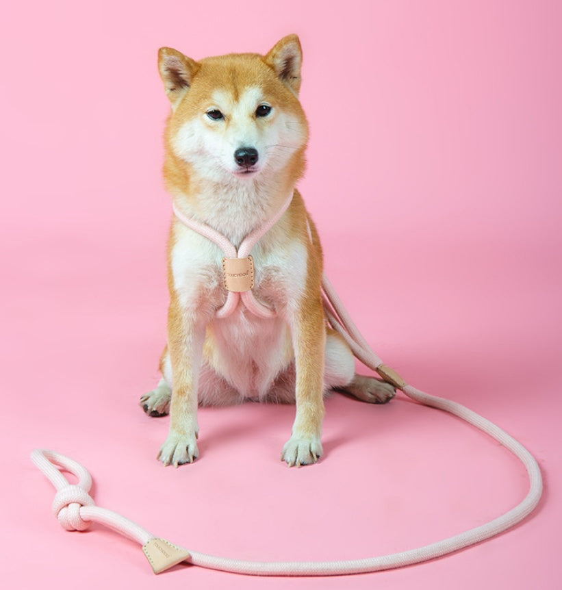 Dual Purpose Round Rope Pet Leash With Integrated Design