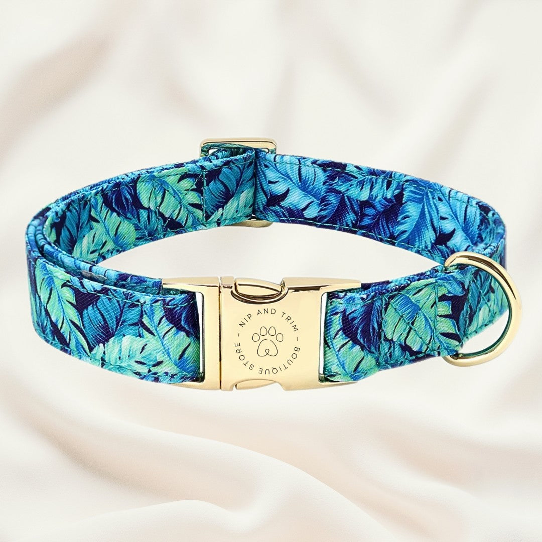 Custom Pet Collar With Engraved ID Tag And Lettering