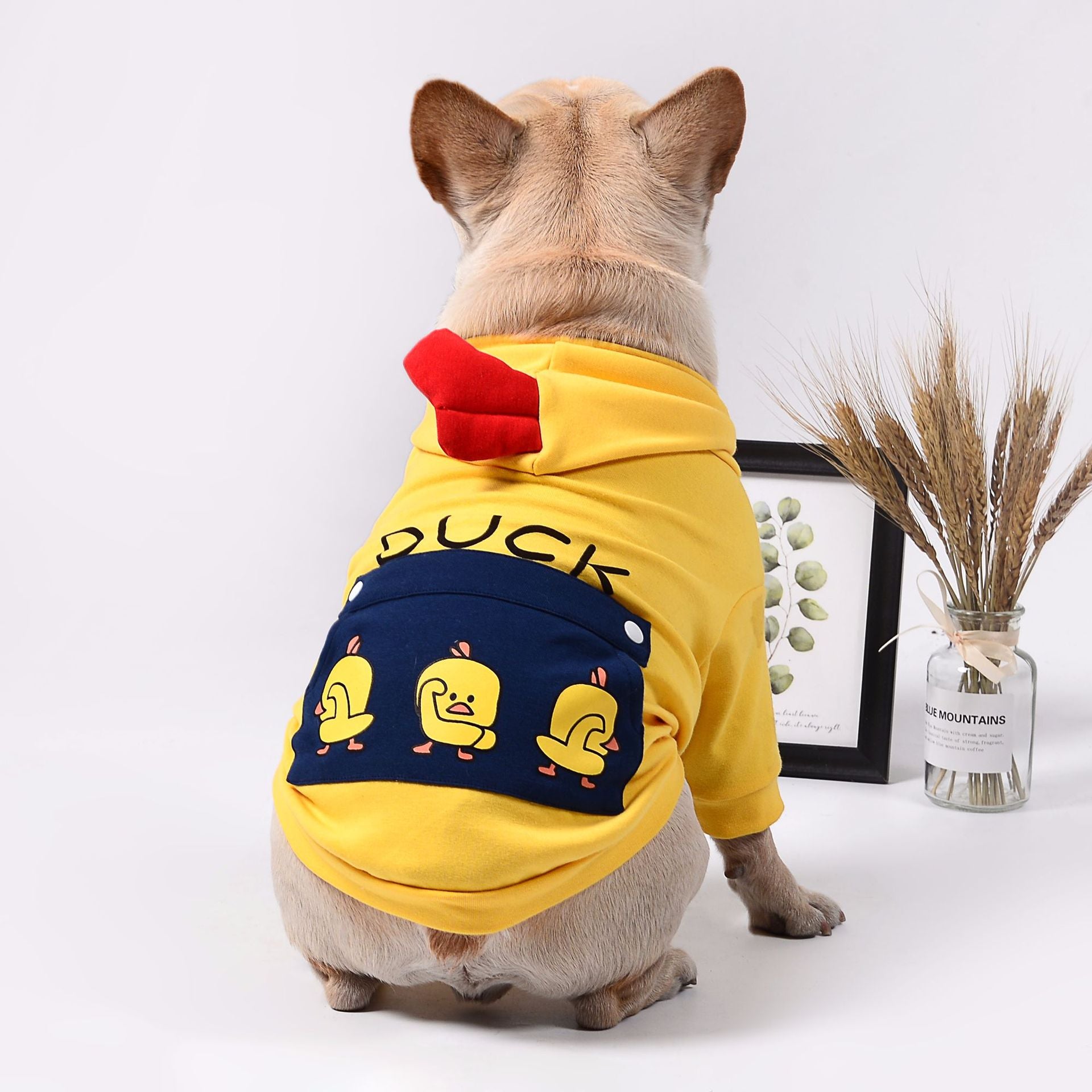 Pet Clothing Apparel For Everyday Comfort