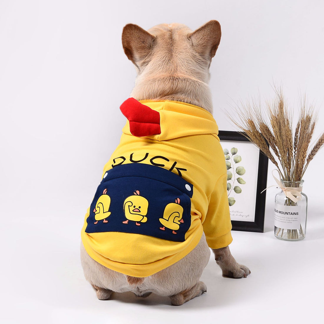 Pet Clothing Apparel For Everyday Comfort