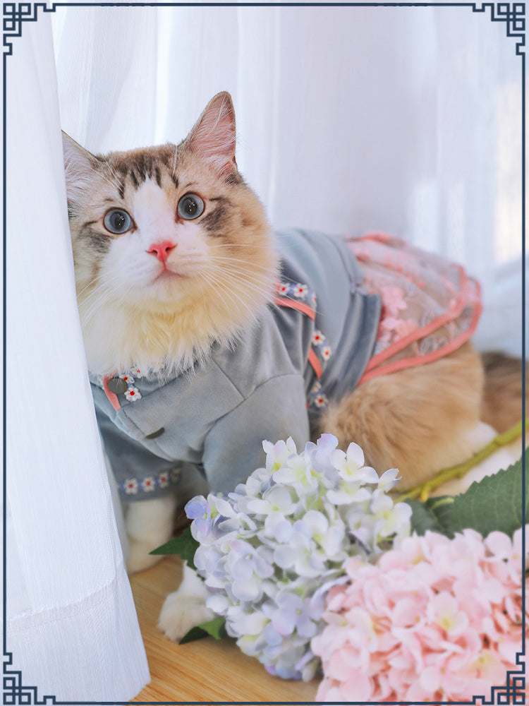 Pet Clothing Apparel For Everyday Comfort