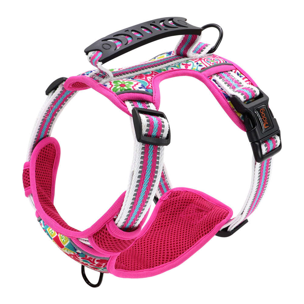 Adjustable Pet Leash and Chest Harness