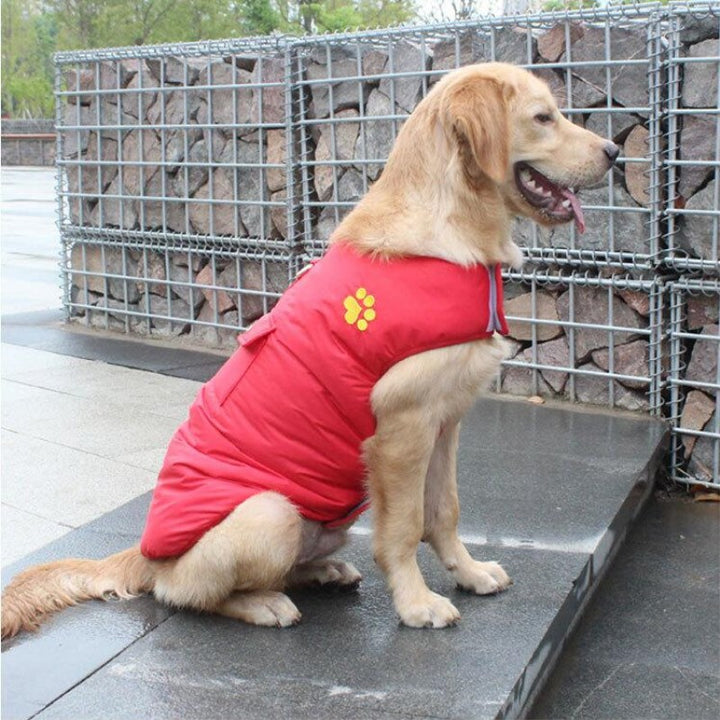 Winter Cotton Pet Coat Jacket